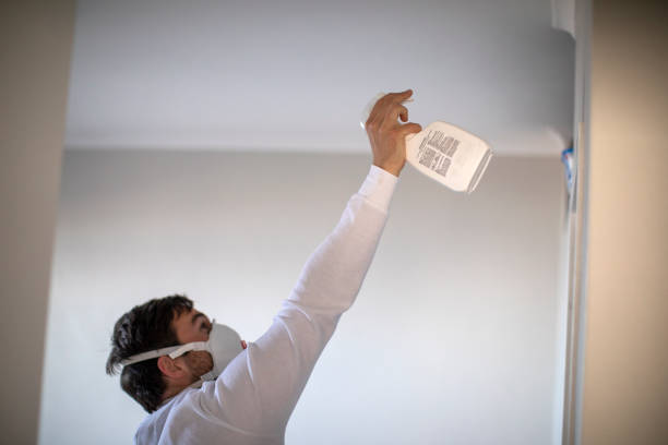 Best Local Mold Removal Service  in Thorp, WI